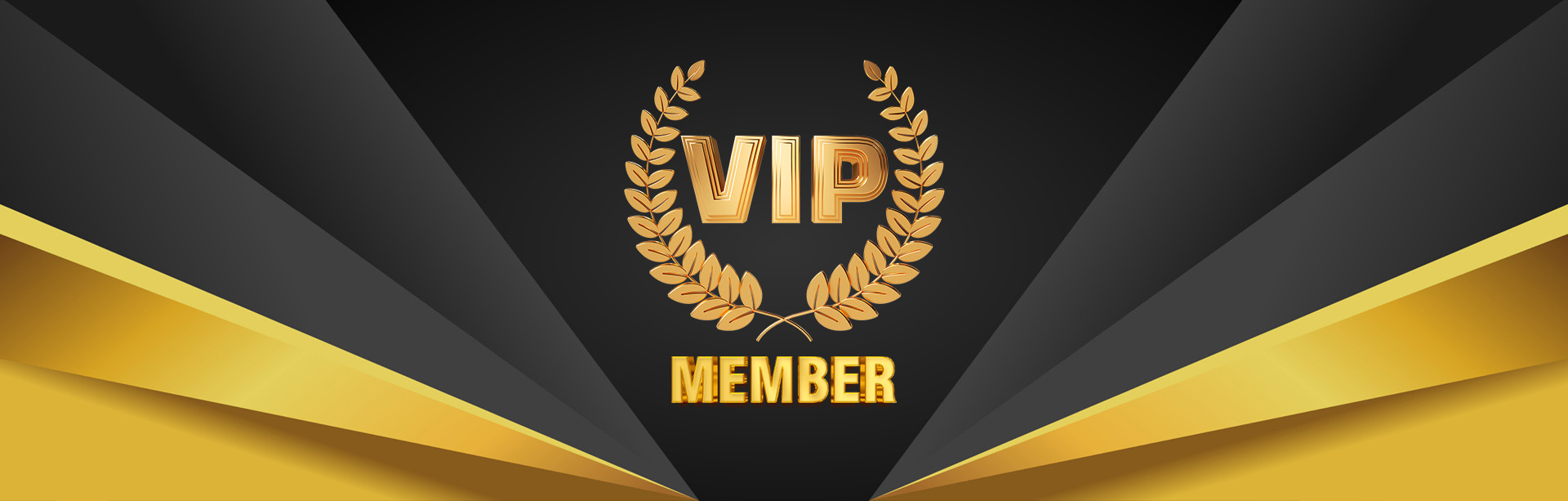 VIP MEMBER